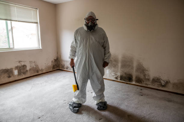 Best HVAC Mold Remediation in Beach Haven West, NJ